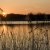 <p>sunset at Grove Ferry</p>