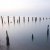 <p>gentle evening at Seasalter</p>
