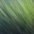 <p>unique image showing the movement of grass</p>