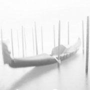 <p>movement</p>
