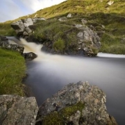 <p>fast flow</p>