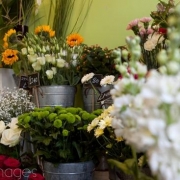 <p>promote your business</p>